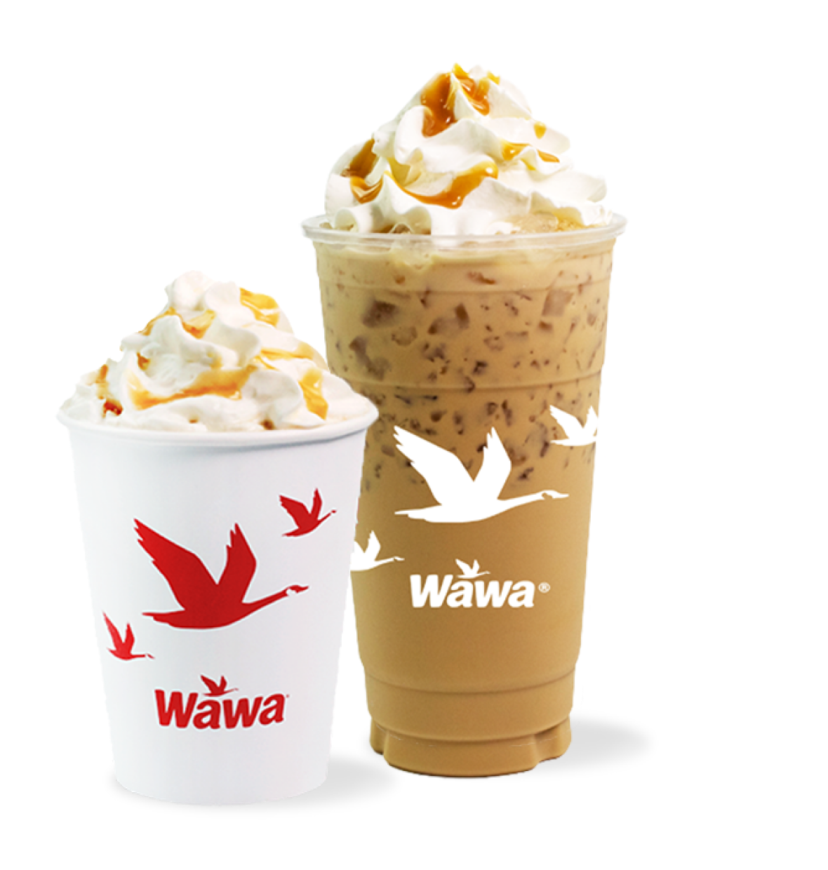 Price Of Juul At Wawa Wawa Gas Prices Phillipsburg Nj What's Up With Gas  Prices In NJ? Experts Reveal What To Expect Gas Prices At Wawa In Nj New  Jersey Australia