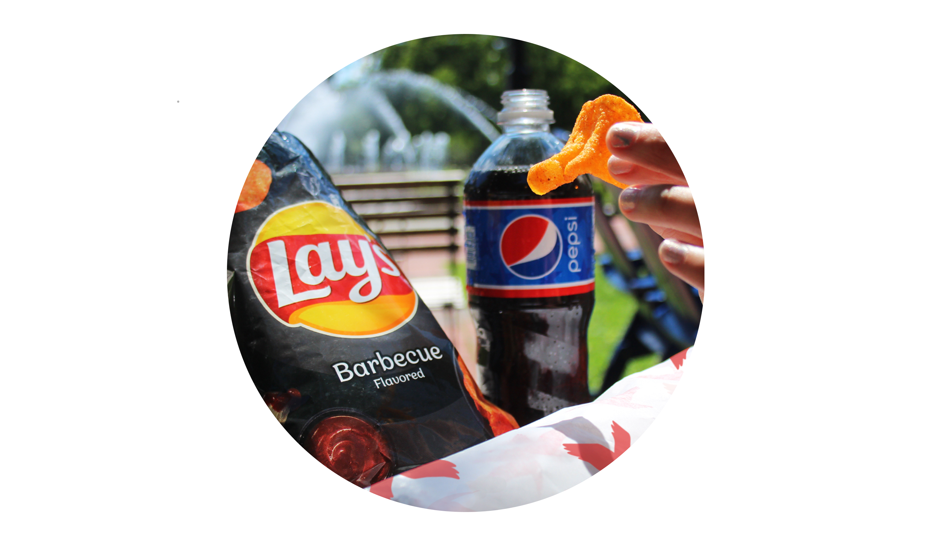 Delectable Snacks at Wawa Perfect Pairing! Wawa