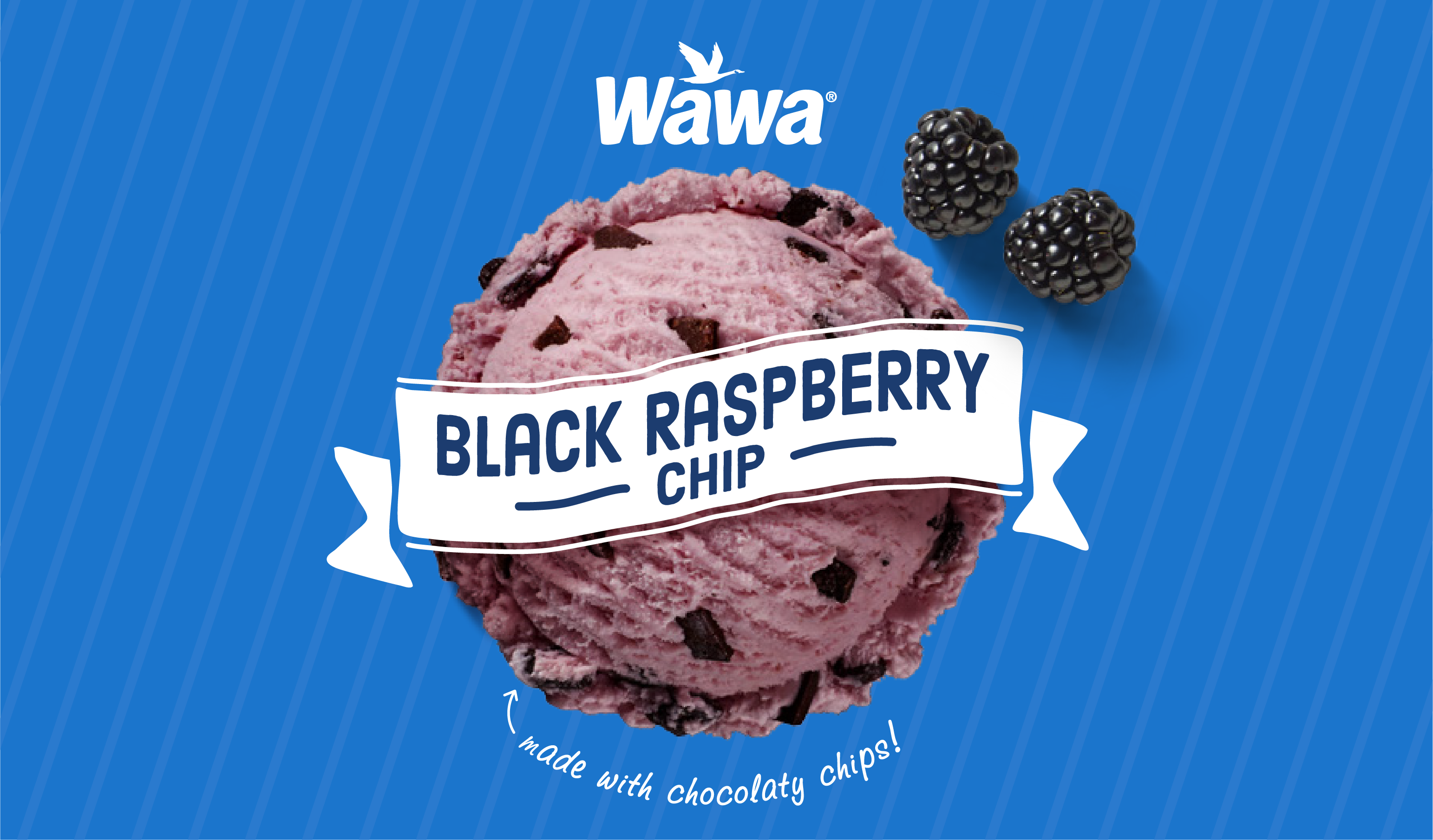 Wawa Menu Ice Cream