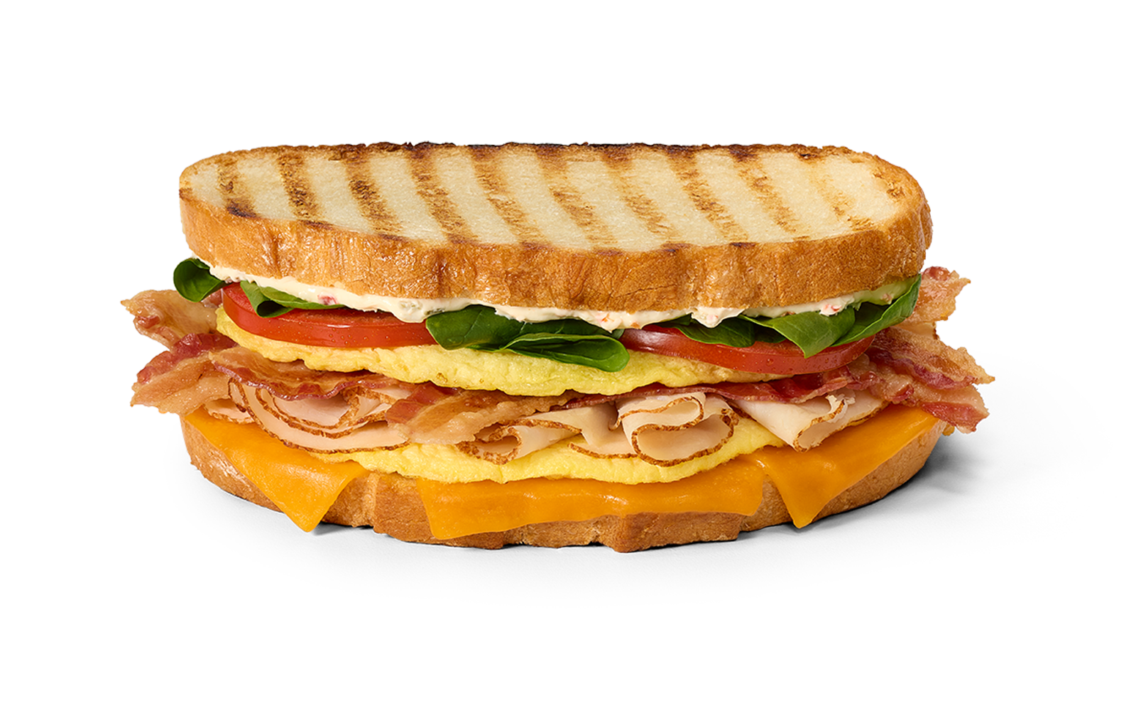 _WO_2401_DS_Cali_Style_Cheesy_Turkey_and_Bacon_Egg_Omelet_Panini_-090-1